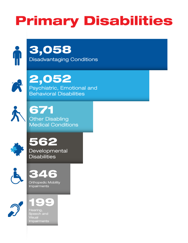 primary%20disabilities%20infographic.png